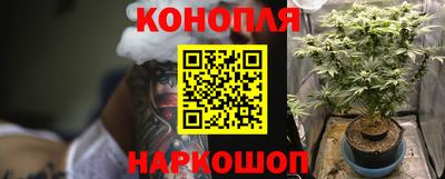 гашик Аргун