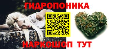 гашик Аргун