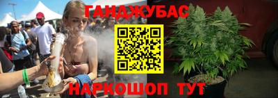 гашик Аргун